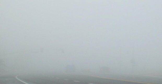 nebbia.jpg