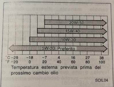 olio2.jpg
