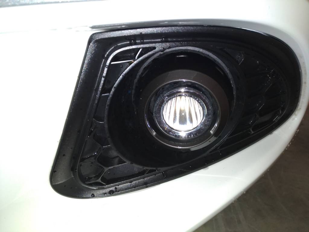 P_20171118_180115_vHDR_Auto.jpg