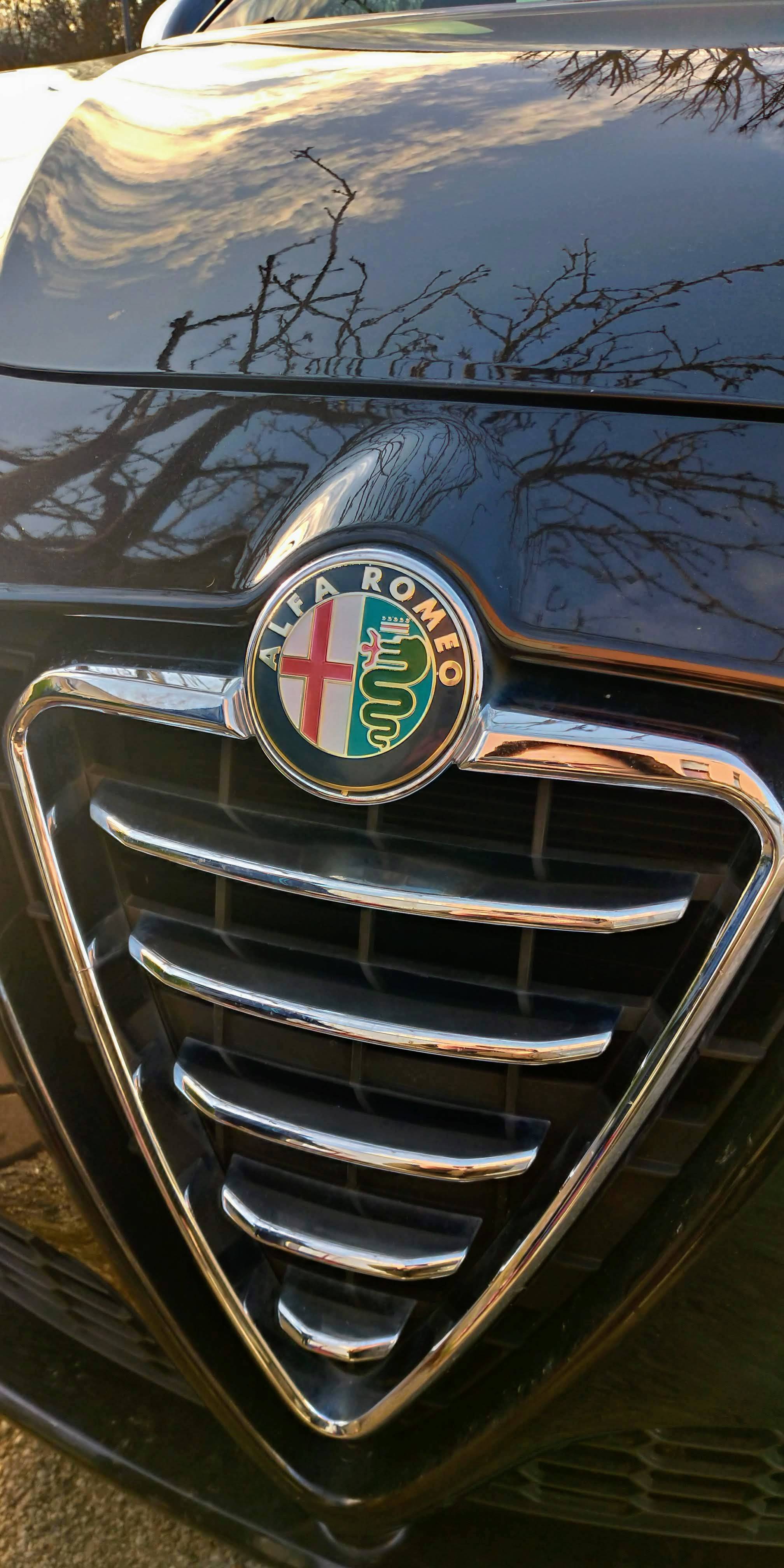 P_20230128_094155_vHDR_On_HP.jpg