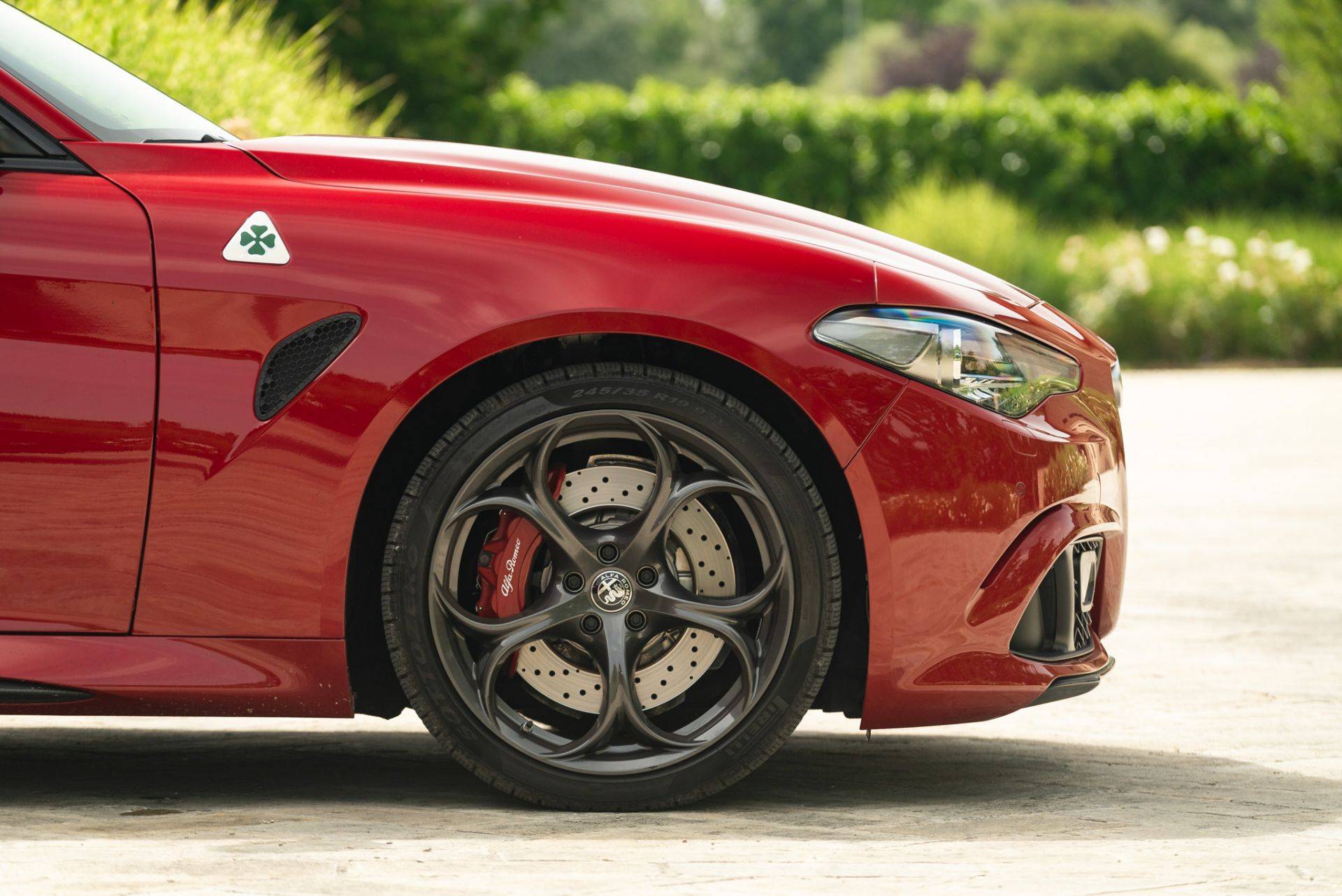 qv giulia.jpg