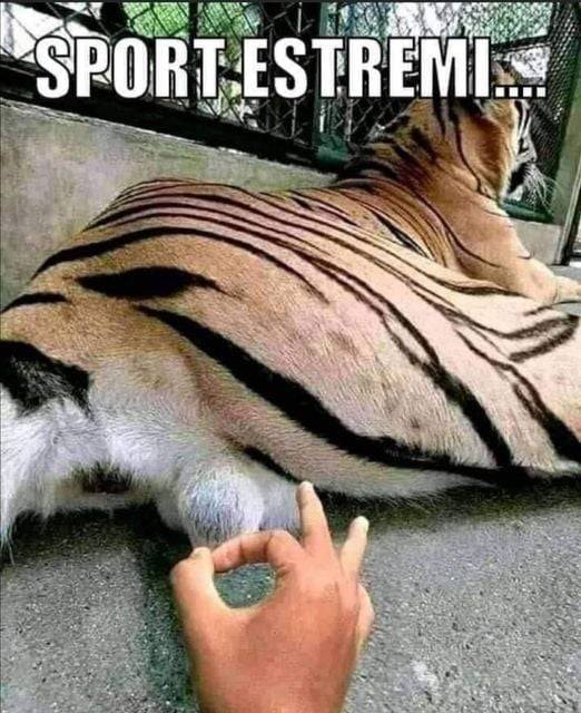 Sport estremi.jpeg