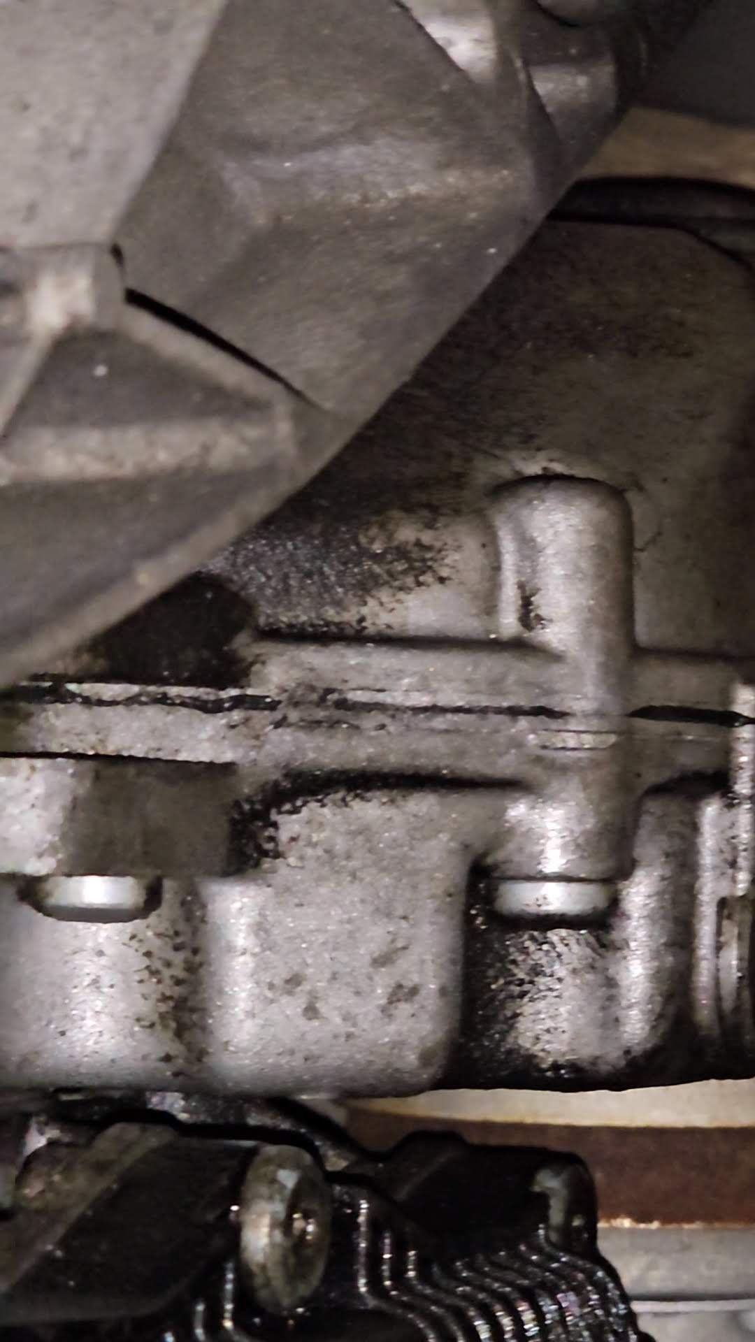 VideoCapture_20240122-184312.jpg