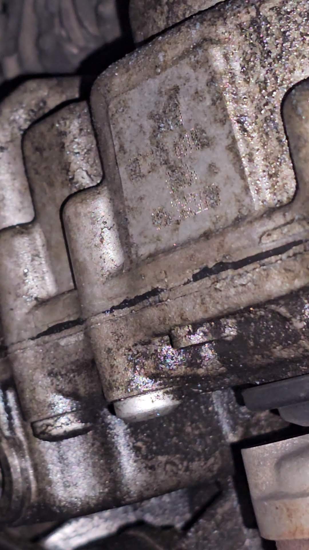 VideoCapture_20240122-184407.jpg