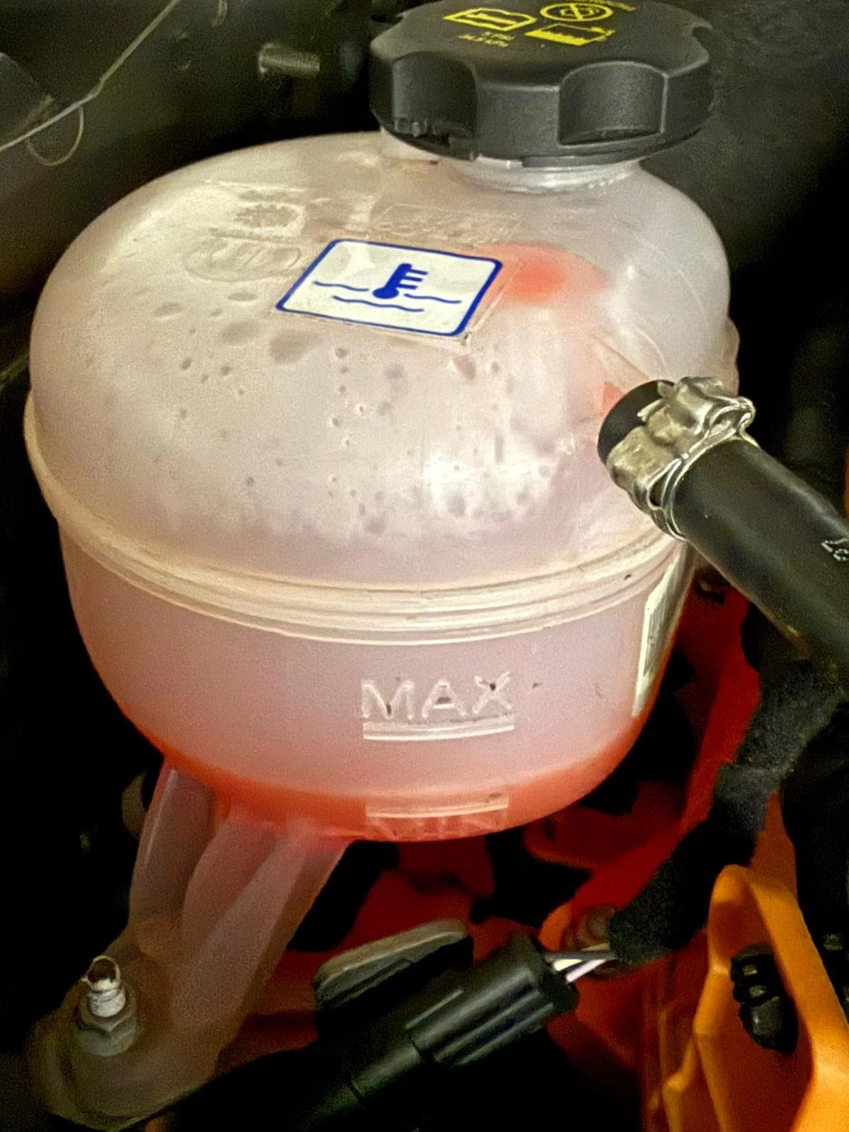 WhatsApp Image 2025-12-12 at 18.55.04.webp