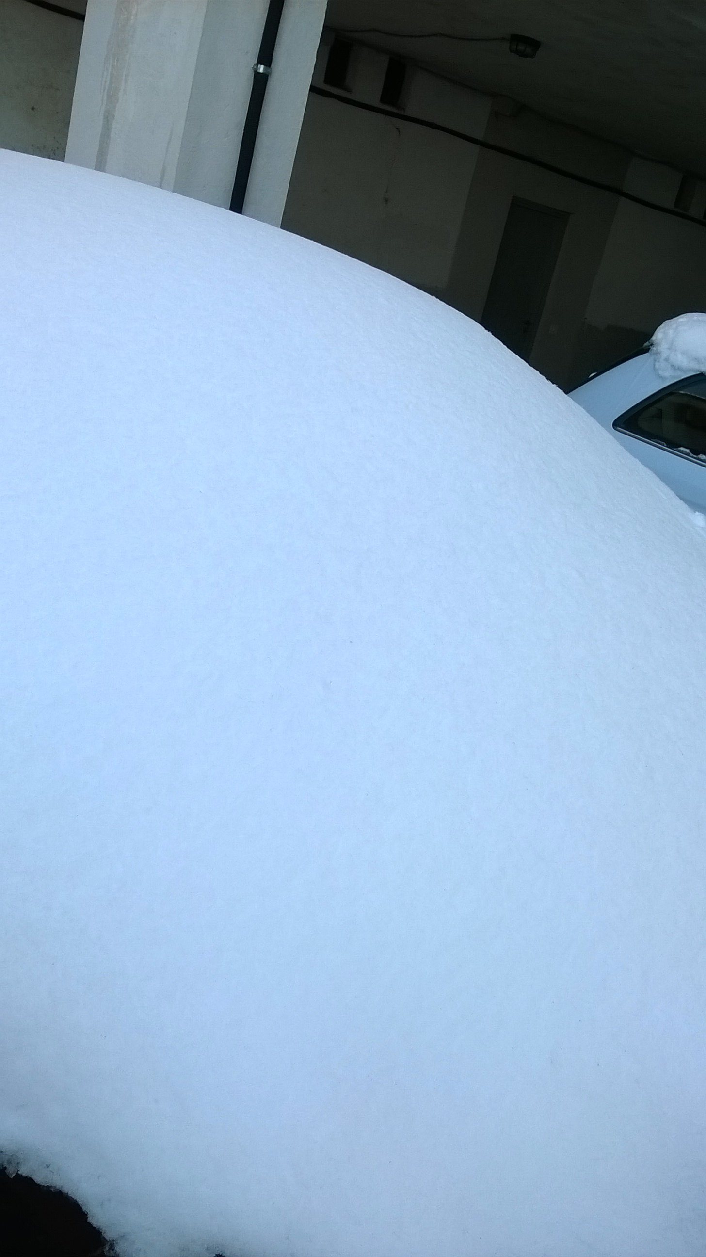 WP_20180227_11_24_06_Pro.jpg