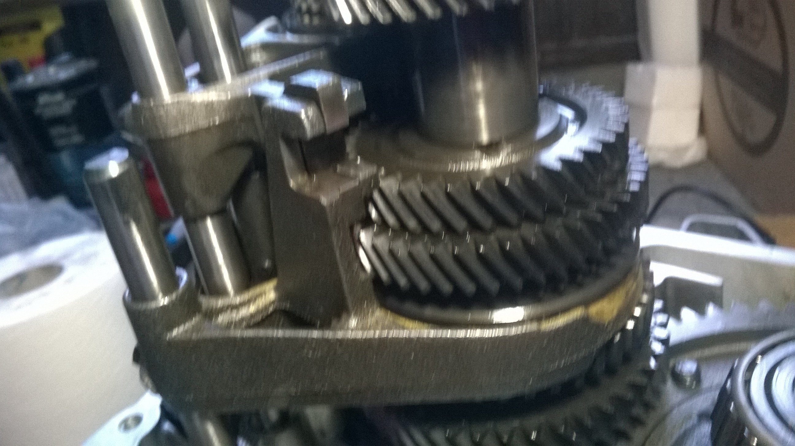 WP_20180303_006.jpg