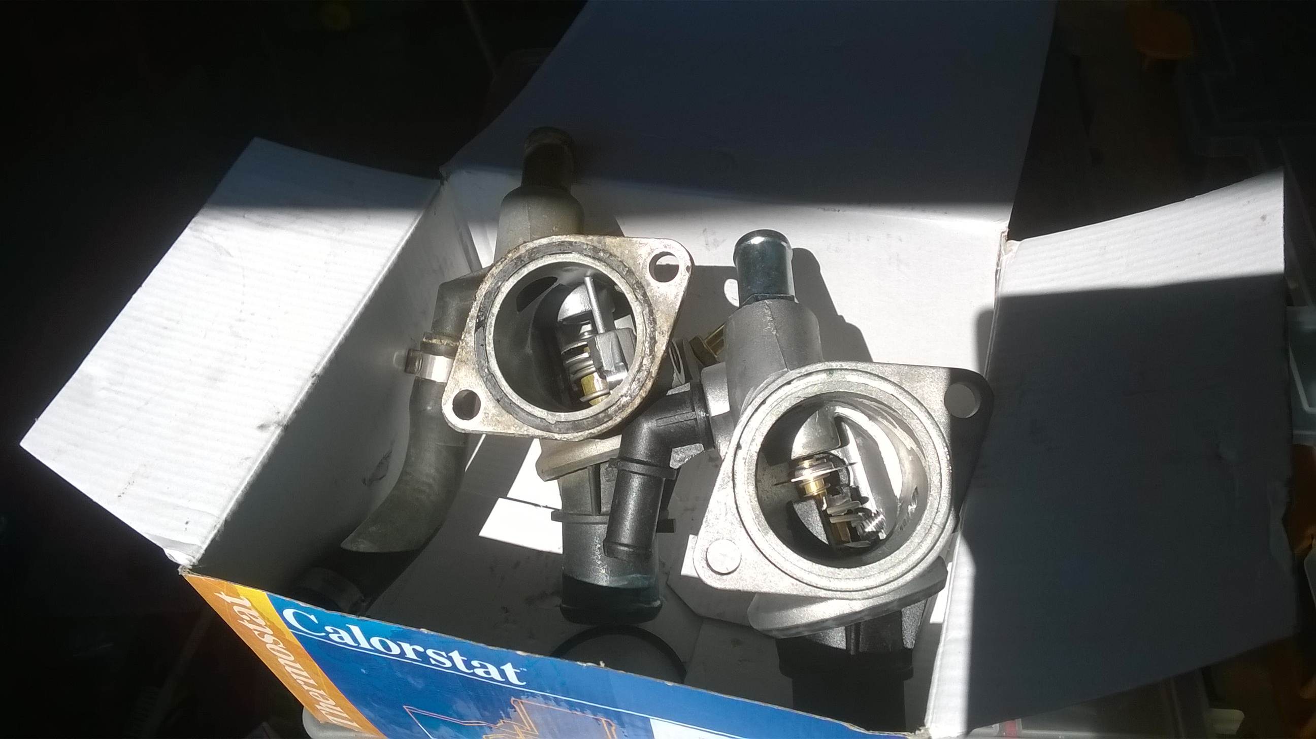 WP_20180630_006.jpg
