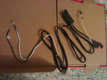 www.alfasport.net_Public_data_fab11_2008111422285_cavixeno2_20modified.jpg