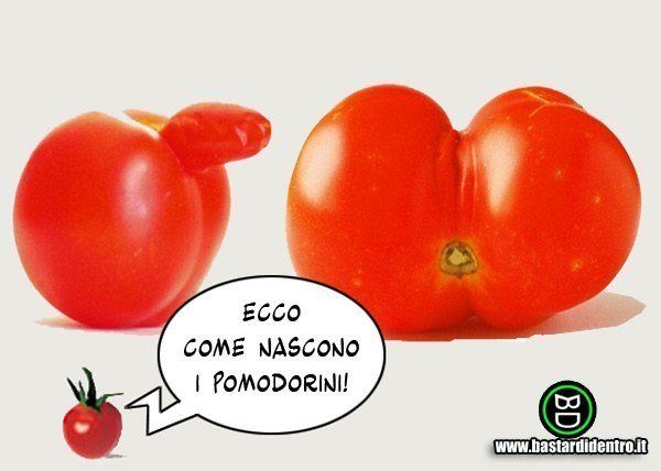 www.bastardidentro.it_misc_bastardidentro_data_images__b_bd806_pomodorini11180427100.jpg