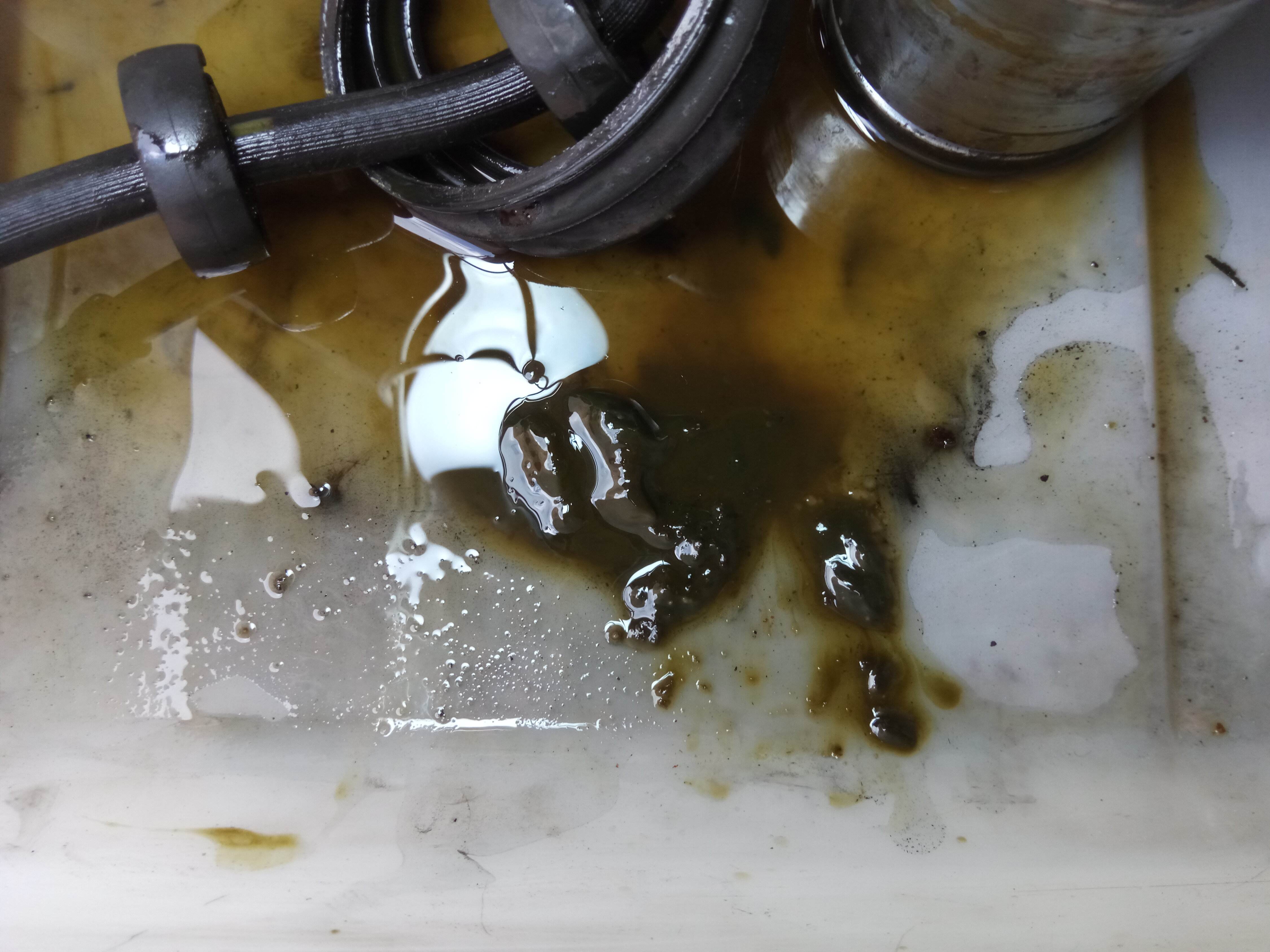 Z-IMG_20190608_151935.jpg Z-IMG_20190608_151935.jpg