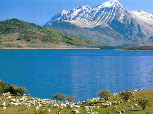 www.clubalfa.it_wp_content_uploads_2014_10_LagoCampotosto.jpg