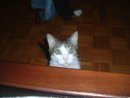DSCF0041.jpg