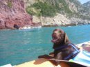 Choky_sul_gommone_1.jpg