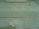 DSC04734.JPG