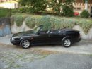 alfa75 3.0 v6 spider 3.jpg