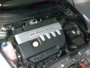 Alfa.24.jpg