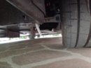 IMG_20170728_154006.jpg