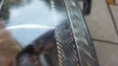 20170817_121556.jpg