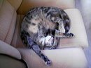 lilly che se stravacca.jpg