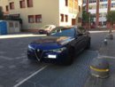 Giulia1.jpg