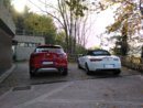 Pair tails.jpg