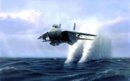 tomcat.jpg