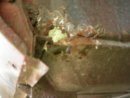 ant.DX dall'esterno.jpg