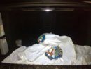 16052008073lh2.jpg