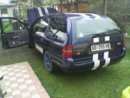 Mondeo strisce2.JPG