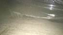 D6B85327-915A-444D-BC55-7A468CD4FCB7.jpeg