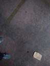 P_20180930_173926.jpg