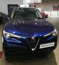 ALFA 1.jpg