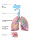 2000px-particulate_danger-it-svg.png