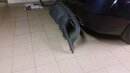 20181209_153136.jpg