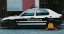 33 vigili.jpg