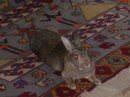 IMGP0434.jpg