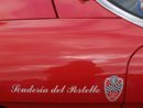 P1011849-1024.jpg