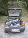 image_5.gif