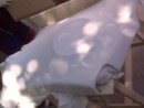DSC00042.JPG