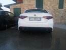 dam alfa  giulia.jpg