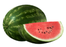 LOLAbig.png