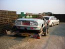 DSCN0600.jpg