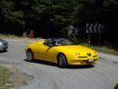 IMGP0248.JPG