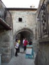 IMGP0303.JPG