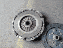 Foto1393 (800 x 600) (600 x 450) (600 x 450).gif