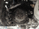 Foto1395 (800 x 600) (600 x 450) (600 x 450).gif