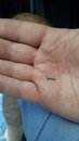 IMG-20190730-WA0005.jpeg