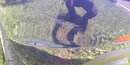 IMG-20190520-WA0090.jpeg
