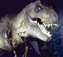 003-dinosauri-foto-tirannosauro.jpg